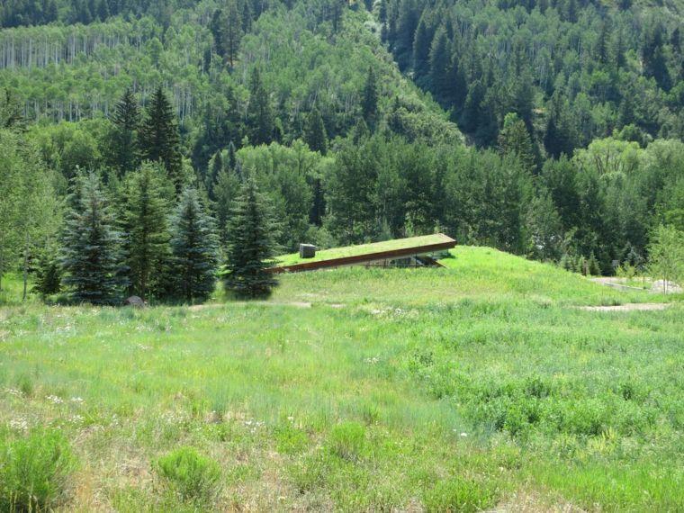 Etats-Unis : Une maison-montagne ensevelie sous lâ€™herbe verte. 