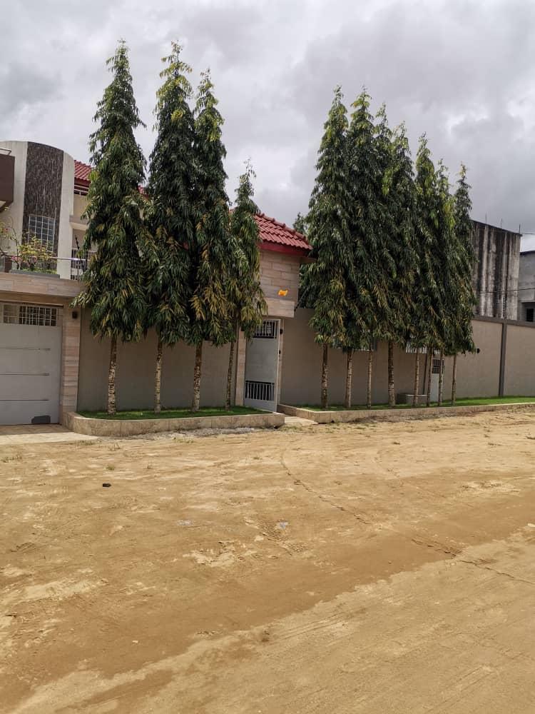 Vente d'une Maison / Villa : Abidjan-Cocody-Angré (Nouveau chu )