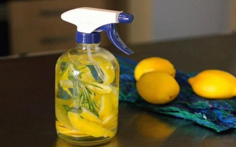 Comment fabriquer un dÃ©sodorisant avec du citron