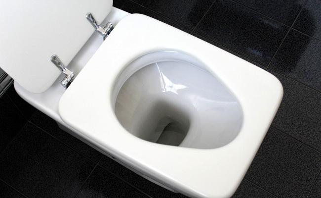 Les solutions pour dÃ©boucher vos toilettes. 