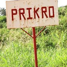 Prikro : un mini car décroche le portail  d’un supermarché.