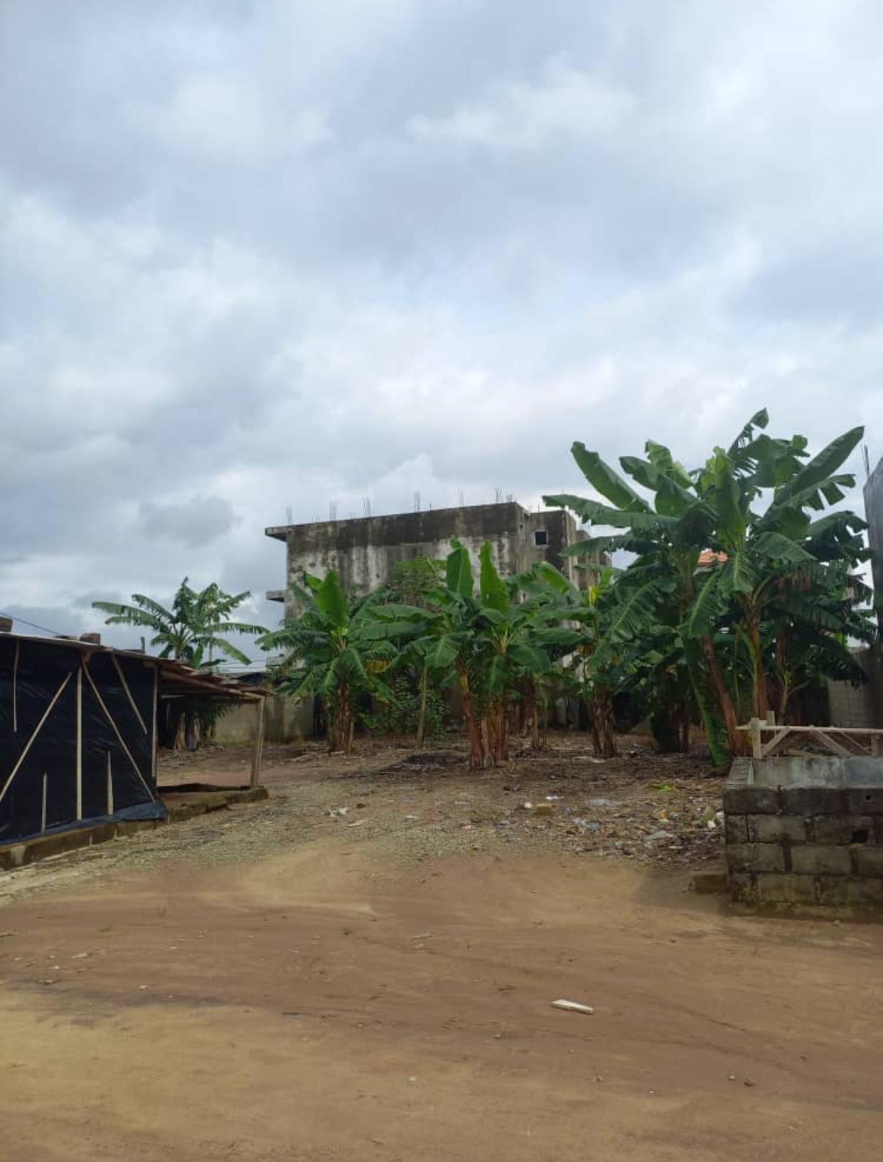 Vente d'un Terrain : Abidjan-Cocody-Angré (Djorobitè)
