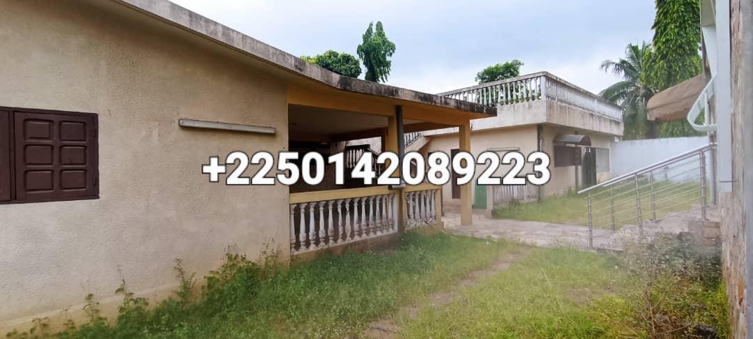 Location d'une Maison / Villa : Abidjan-Cocody-Riviera (Golf Berverly )