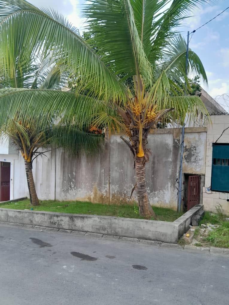 Vente d'une Maison / Villa : Abidjan-Cocody-Angré (ANGRE CITE STAR 14)